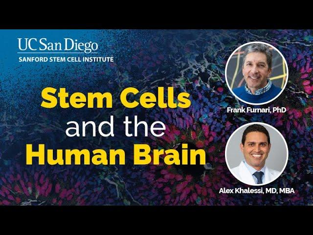 Stem Cells and the Human Brain - Medicine Informing Novel Discoveries (MIND)