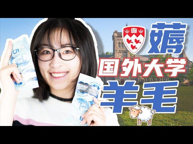 麦吉尔大学 留学生如何在一个月赚够半年生活费 | 学术兼职 怎么做 | 苏苏思量