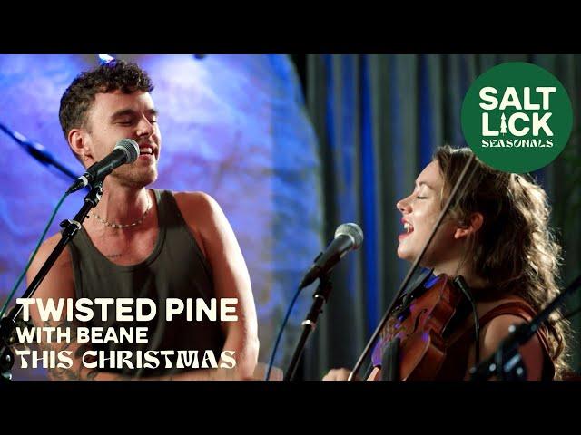 Twisted Pine: "This Christmas" | Salt Lick Seasonals