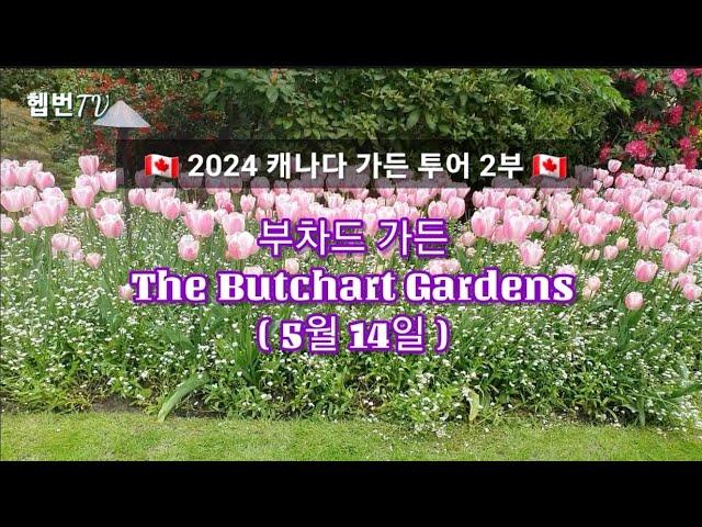  2024 캐나다 가든 투어 2부  부차드 가든 The Butchart Gardens  Victoria Island, Canada 05. 13일 상