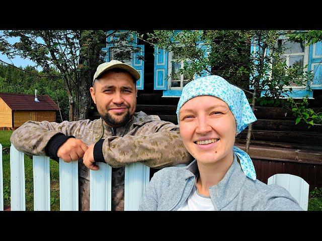 ЖИВЁМ НА ЗАИМКЕ СВОИМ ХОЗЯЙСТВОМ | ГОТОВИМ МЕСТО ДЛЯ СТРОИТЕЛЬСТВА | СПАСАЕМ ЖИВОТНЫХ ОТ ГНУСА