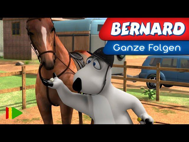 Bernard Bear - 133 - Dressur | Ganze folgen |