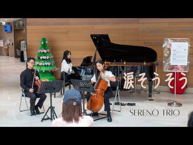 淚光閃閃 - Sereno Trio