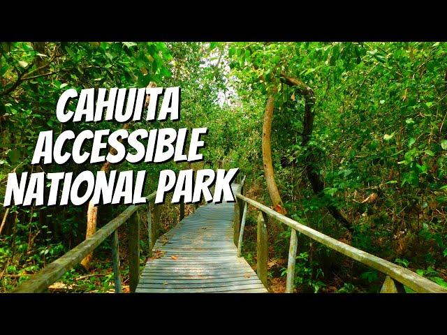 Cahuita National Park Costa Rica - Wheelchair Accessible Adventure - Amazing Nature and Wildlife