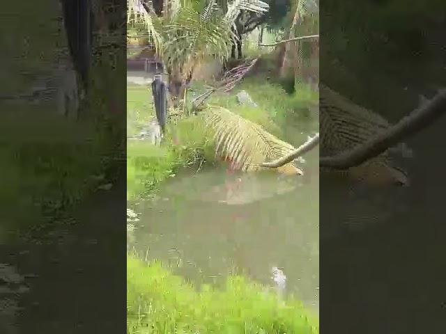 Having #fun #fishing #fish #nature #farm #relaxing #love #enjoy #short