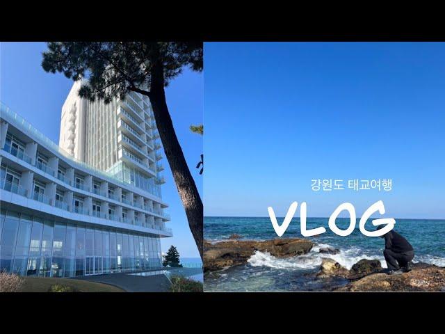 ep5. 강릉 태교여행, 씨마크호텔, 디너뷔페, 경포대, 가을강릉, 초당순두부젤라또, 조식뷔페, 호캉스