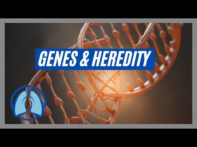 Heredity, Genes and Chromosomes