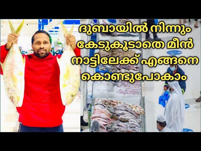 How to get fresh fish for your family from DUBAI…