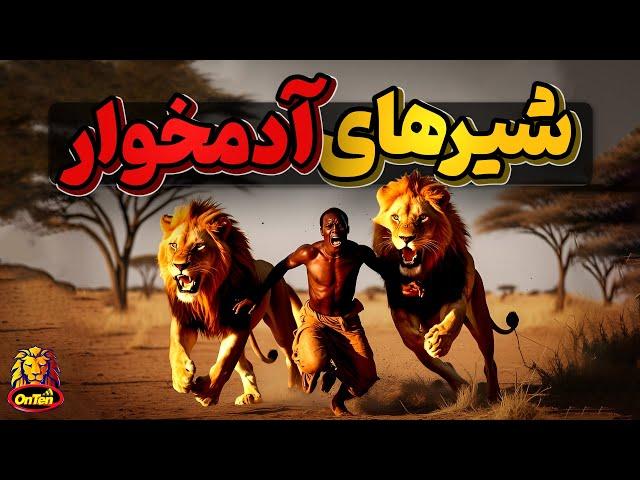 قوی ترین و بزرگترین شیرهای دنیا در ضیافتی از گوشت انسان ها