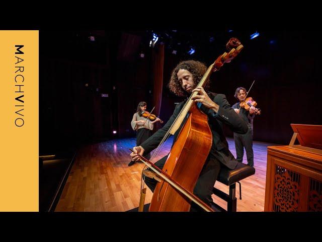 Bach and Vivaldi on Violone, an Extinct Instrument | Campanero · MarchVivo