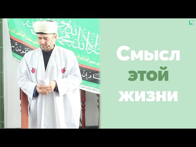 Смысл этой жизни