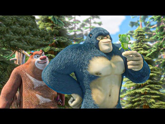 Boonie Bears Full Movie 1080p  Buggin' Out   Bear and Human Latest Episodes