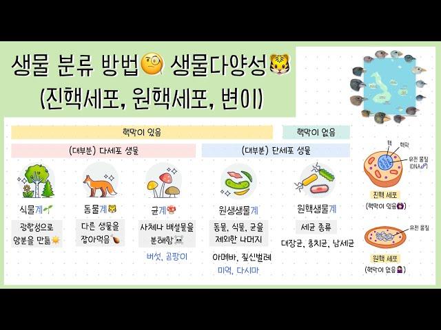 [중1 생물다양성] 2강. 생물 분류 체계┃진핵 세포, 원핵 세포┃변이┃생물다양성