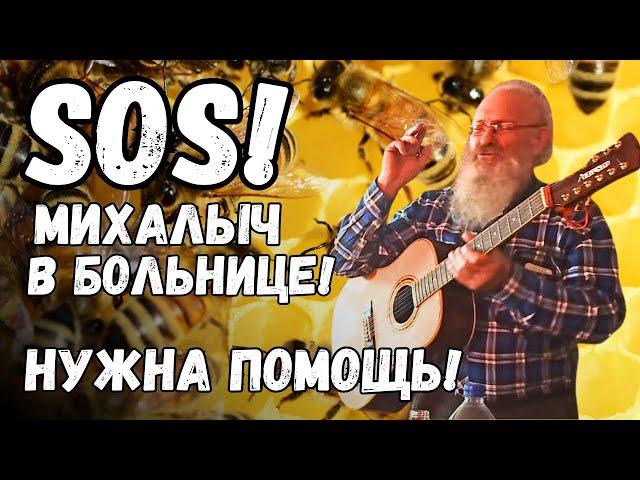SOS! Михалыч в больнице! Медвежий угол просит о помощи!!!