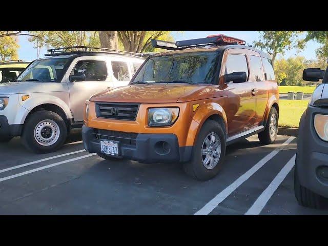 Honda Element Meet-Up: 50+ Rides, One Epic Day!