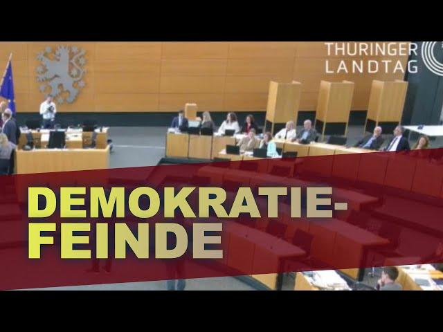 Der Putsch gegen demokratische Prinzipien (und die AfD)  im Thüringer Landtag – für Sie dechiffriert