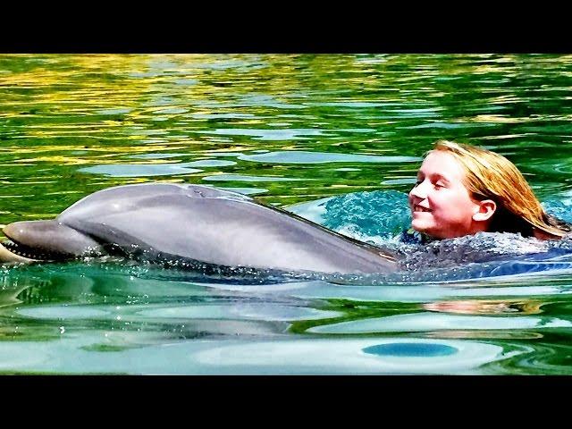 Swimming with Dolphins at Discovery Cove | Swim with Dolphins | Swim with Sharks