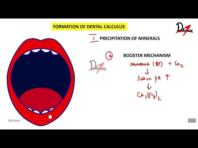 Calculus formation timeline