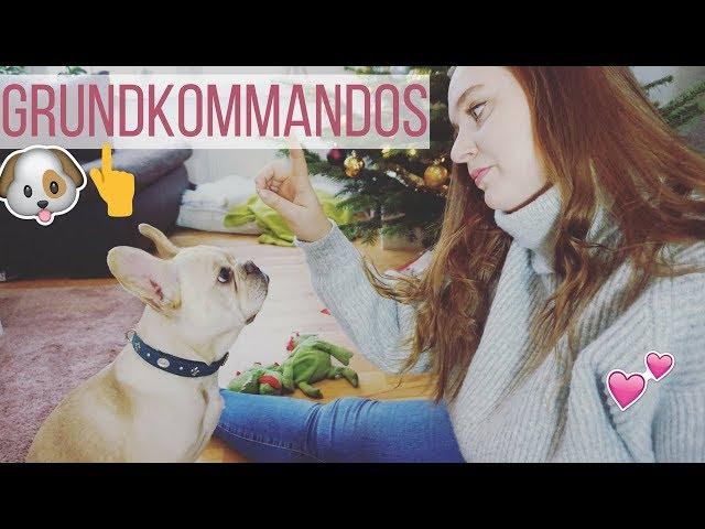 HUNDEERZIEHUNG GRUNDKOMMANDOS- SITZ, PLATZ, MÄNNCHEN, GUTEN TAG | frenchbulldog.bruno