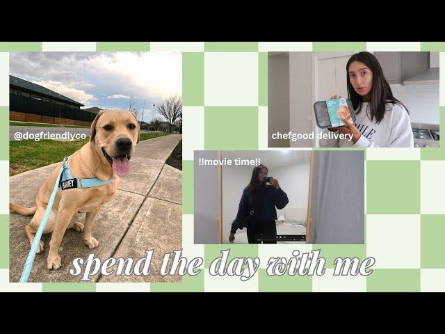 Spend the day with me! working from home | DogFriendlyCo package | chefgood meals