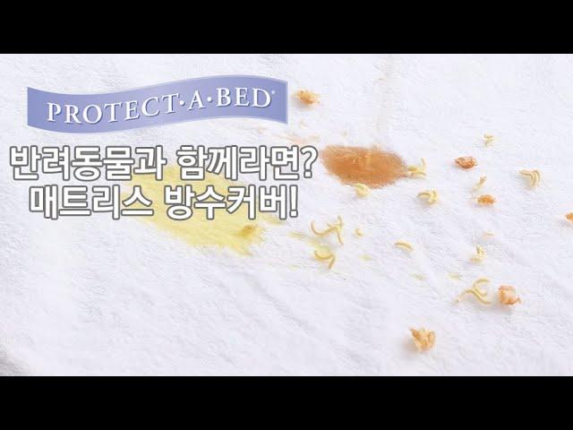 반려동물과 함께라면? 매트리스 방수커버는 선택아닌 필수!