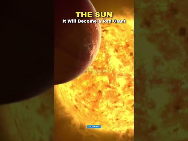 Sun vs Red Giant Star ‍️