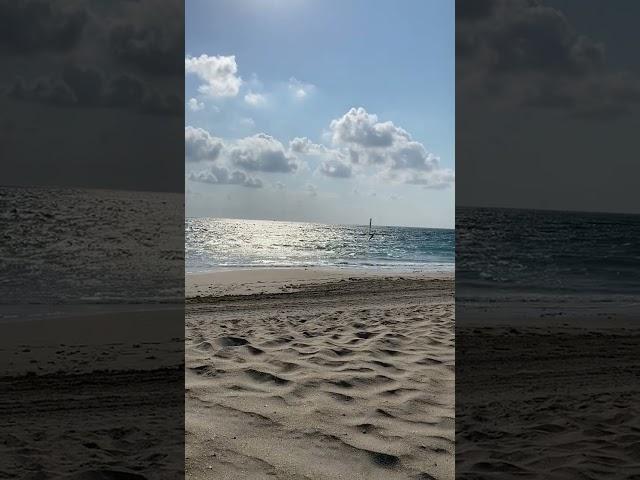 Florida eeuu  un Paraiso tropical  grandes oportunidades para inversión.