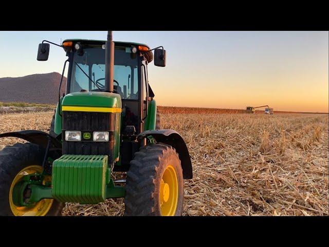 Trabajando con el 6603 de John Deere rastreando cabeceras , Trilla de maíz