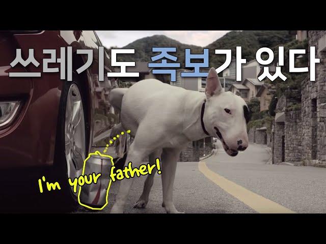 쓰레기도 족보가 있다(I am your father) | 종합편 | 재활용 공익광고 | 환경부