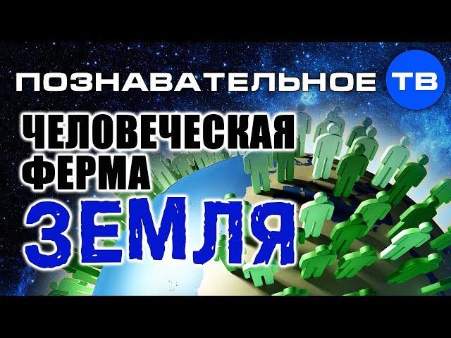 Человеческая ферма Земля (Познавательное ТВ, Артём Войтенков)