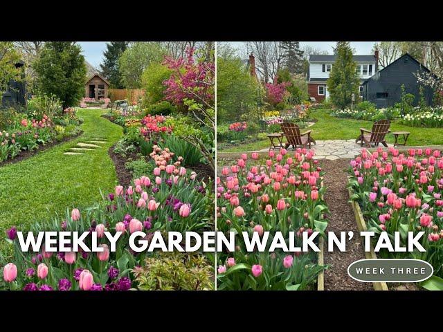 APRIL GARDEN TOUR 2024 // Spring Bulb Tour // Weekly Garden Walk N' Talk // Northlawn Flower Farm