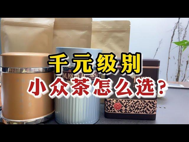 千元级别小众茶怎么选？这3款备受广东长辈喜爱，待客送礼最佳