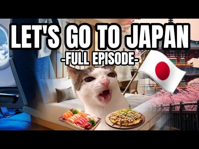 CAT MEMES: FAMILY VACATION COMPILATION EP.2