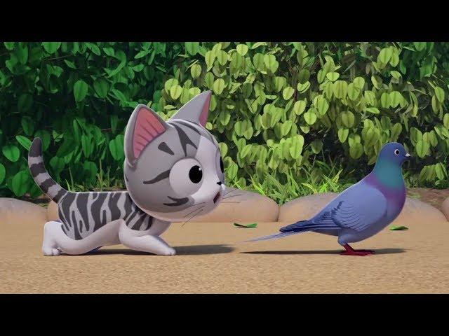 Sweet Pet Chi Episode 2 Chi Meets a Pigeon