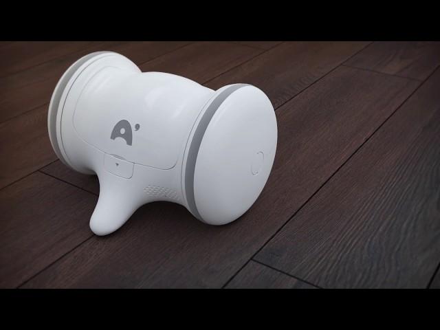 VARRAM PET FITNESS ROBOT | Technical