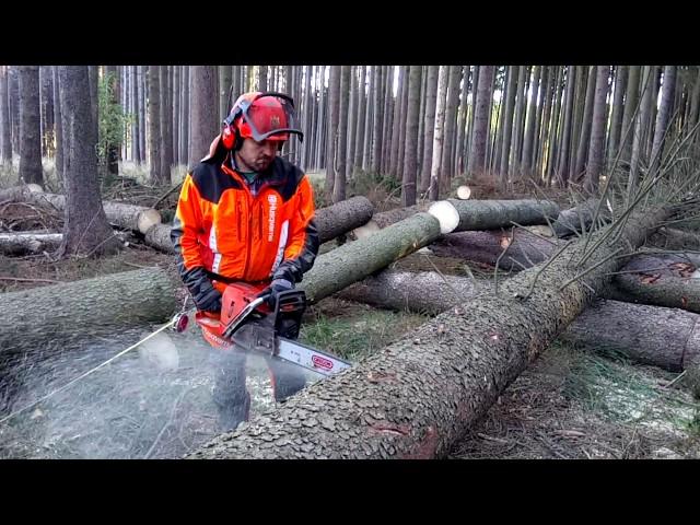 Husqvarna 572XP Chain saw TOP FELLING!!!THE BEST CHAINSAW!!!