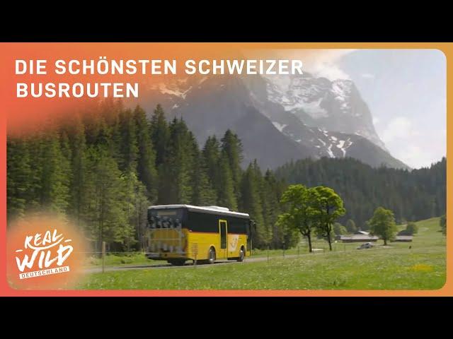 Schweizer Reise: Abenteuer mit dem Postauto | Real Wild Deutschland