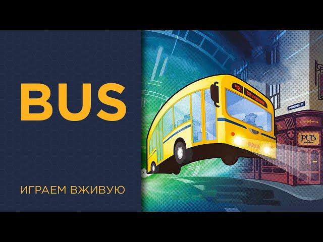 Bus — Играем вживую