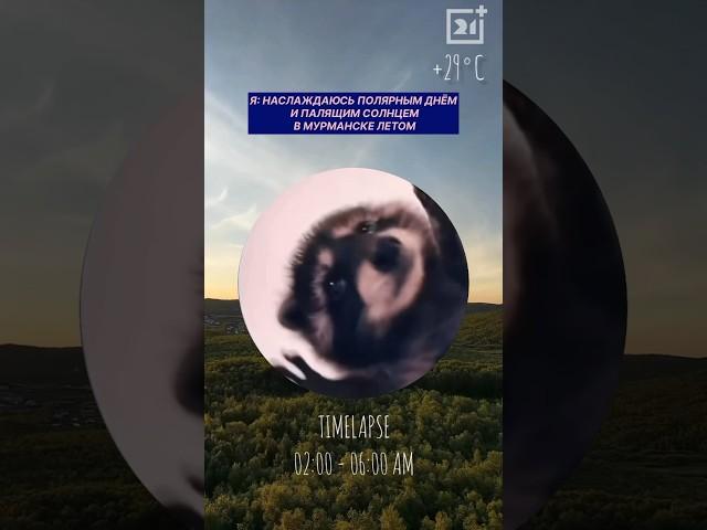 Мурманская область - уникальный край  #позитивно #тв21 #юмор