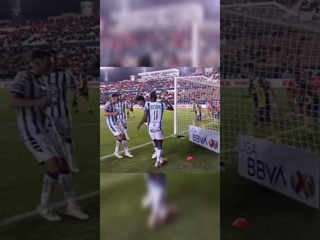 2 GOL DE NICO IBAÑEZ #atléticosanluis vs #pachucafc #ligamx #shorts #viral