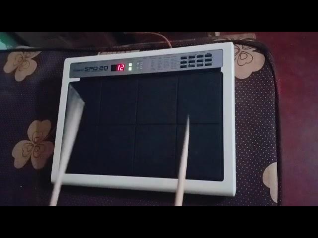 Rajasthani Tone Rolanad 20 pad, player by Rajni