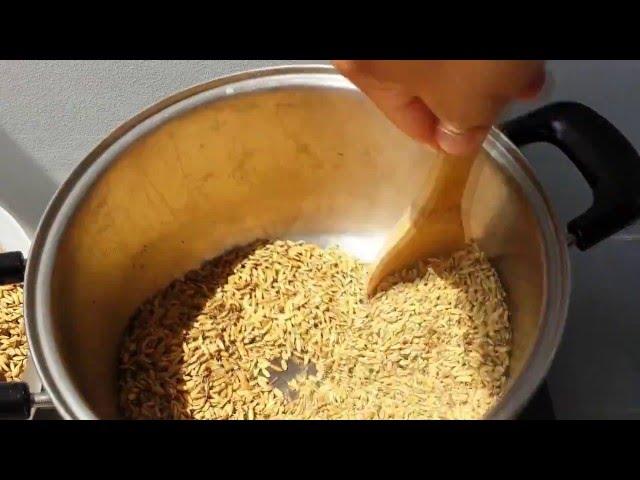 Homemade Malt