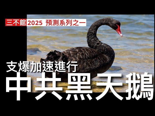 三不館 I 21/11/2024 :￼￼中共黑天鵝出現 習近平出現布里茲尼夫症候群 樓市崩潰消費萎縮 企業投資減少失業上升 外資撤出中國股市 外國直接投資一路減少 政府官僚臃腫公務員及維穩開支天文數字