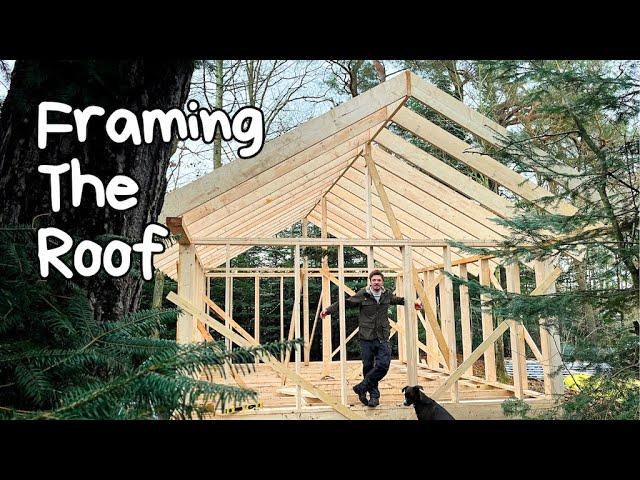 Framing The Roof For My Cabin In The Forest I Building Vlog ep. 3