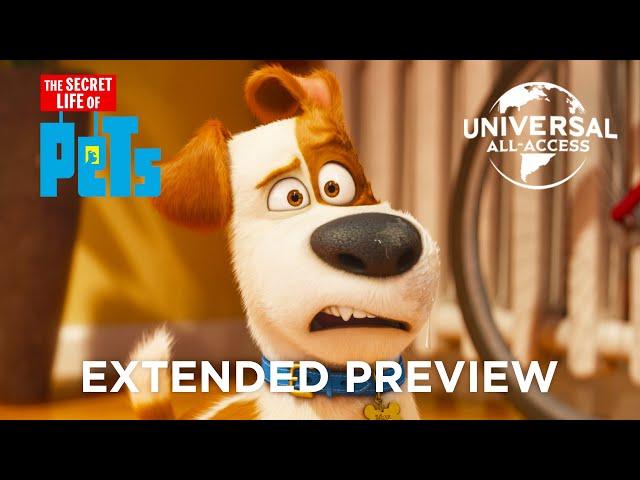 The Secret Life Of Pets | Max Doesn't Like His New Roommate | Extended Preview