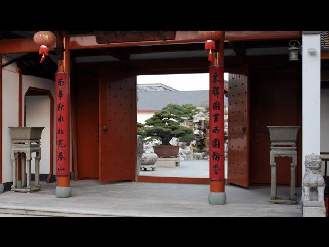 Chinese Penjing garden "Qingyi Yuan"