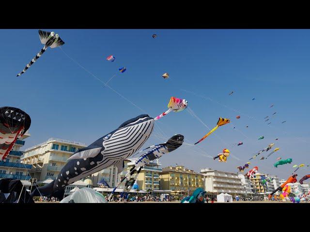 Jesolo Beach & Kite Festival - OM-1 Mark II OM-LOG400 to HLG-HDR