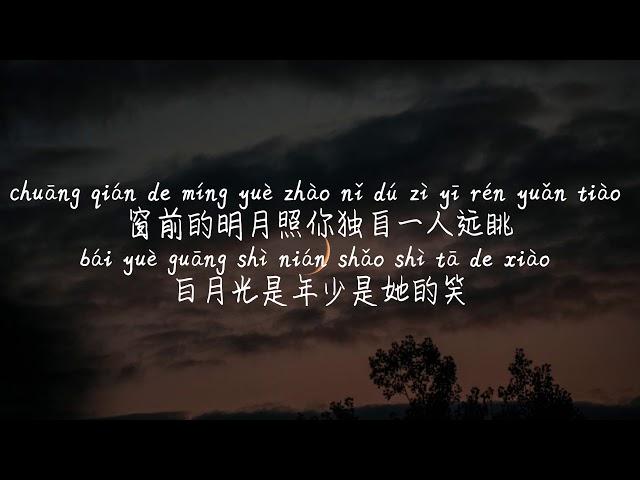 【白月光与朱砂痣-大籽】BAI YUE GUANG YU ZHU SHA ZHI-DA ZI /TIKTOK,抖音,틱톡/Pinyin Lyrics, 拼音歌词, 병음가사/No AD, 无广告