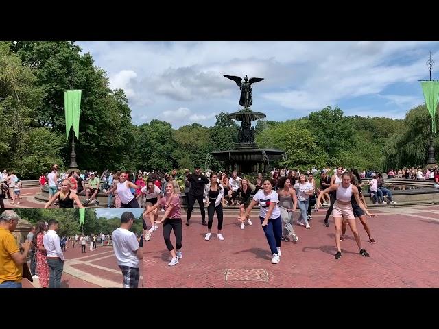 Ricky and Vicky's Proposal Flash Mob in Central Park!