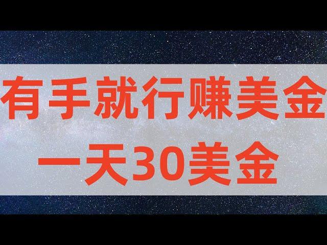 自由职业赚美金简单一天30美金，网赚项目，网赚，网络赚钱项目。